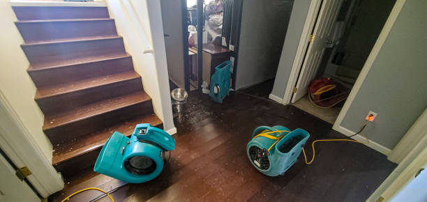 Best Water damage restoration near me  in Lincoln Beach, OR