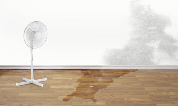 Lincoln Beach, OR Water damage restoration Company